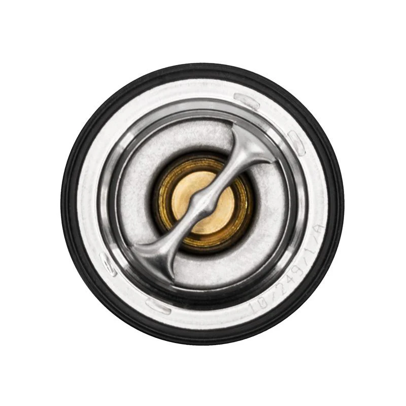 Ecotec Thermostat - Image 2